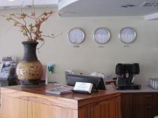 Professional Services